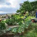 Отель Museum - Relais & Chateaux
