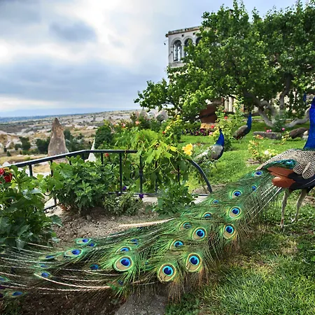 호텔 Museum - Relais & Chateaux