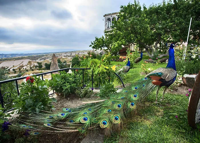 酒店 Museum - Relais & Chateaux