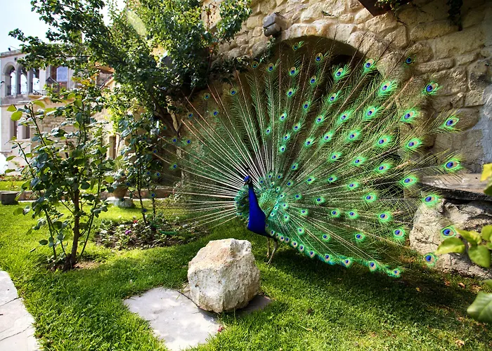 Отель Museum - Relais & Chateaux 3*